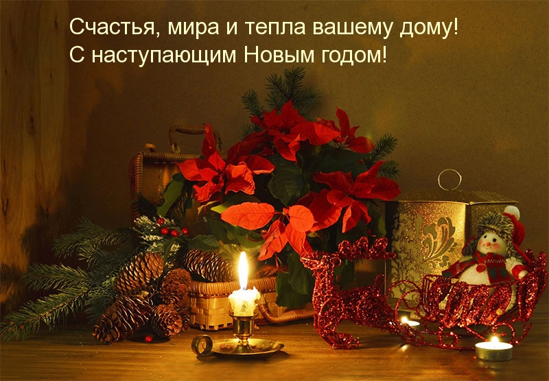 Счастья, мира и тепла вашему дому!