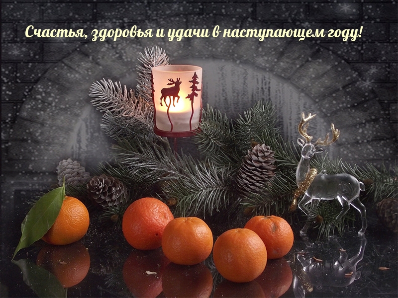 Счастья, здоровья и удачи в наступающем году!