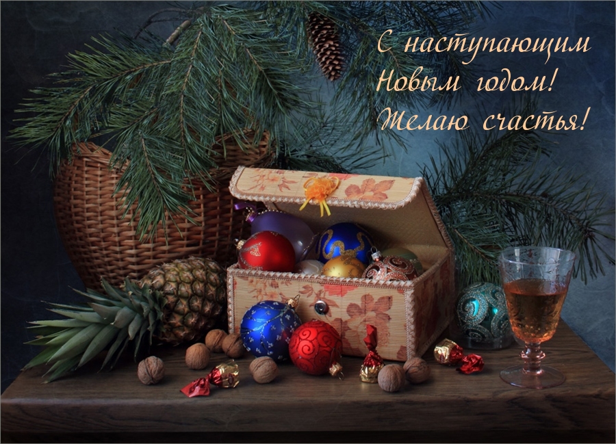 С наступающим Новым годом! Желаю счастья!