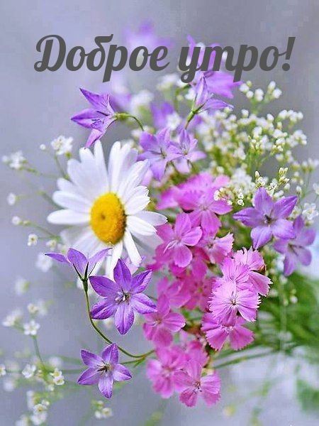 Доброе утро!