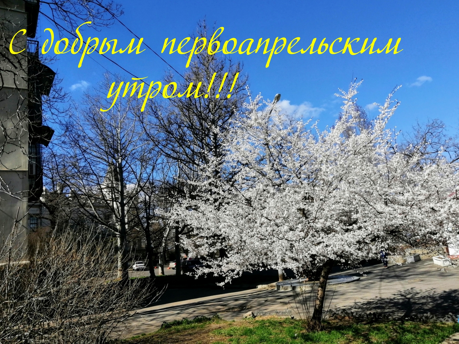 С добрым первоапрельским утром!