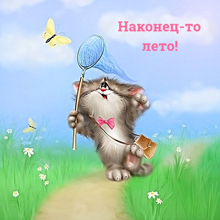 Наконец-то лето!