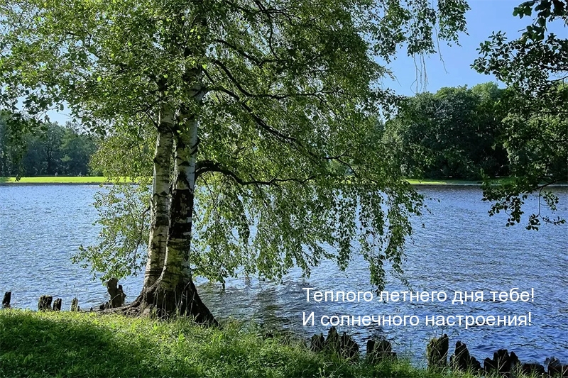Теплого летнего дня тебе!