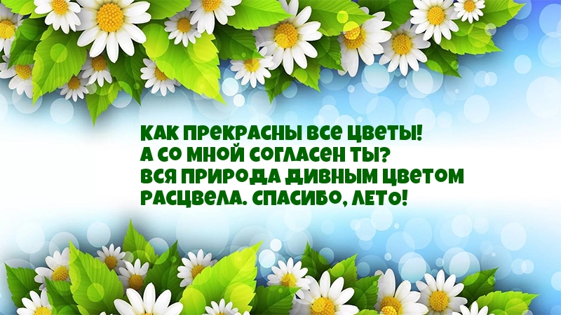 Как прекрасны все цветы!