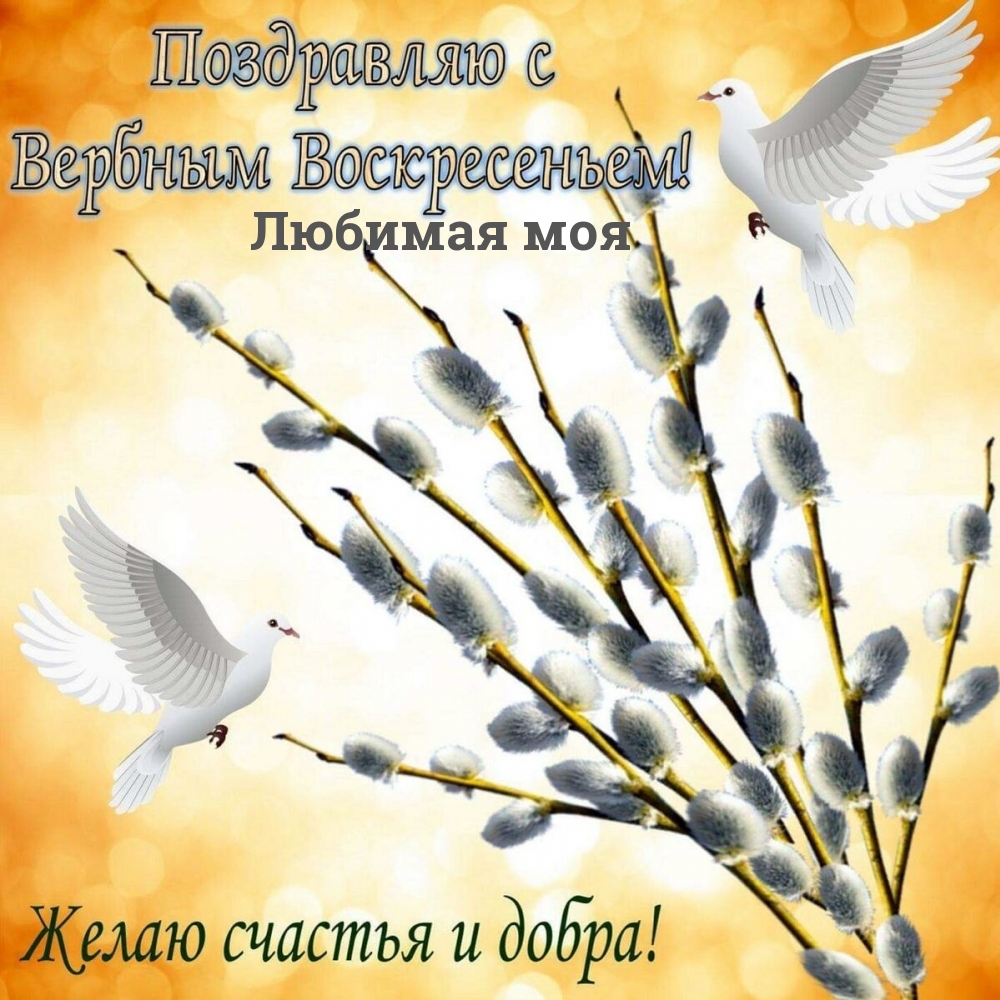 Любимая моя, с вербным воскресеньем!