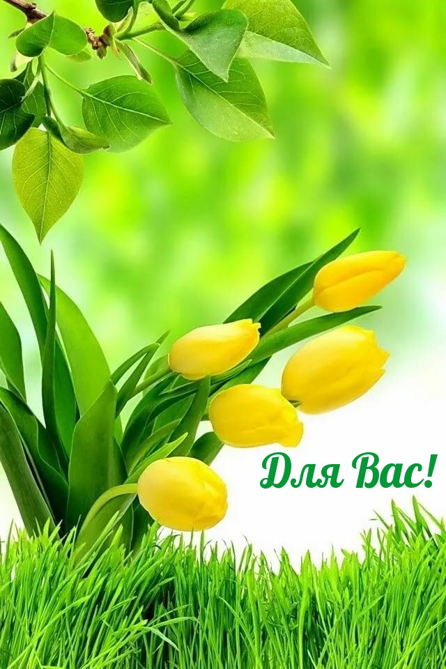 Для Вас!