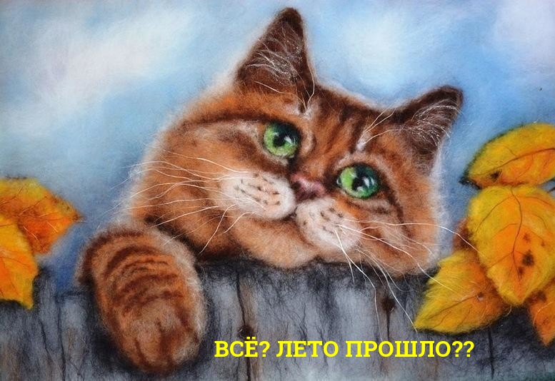 ВСЁ? ЛЕТО ПРОШЛО??