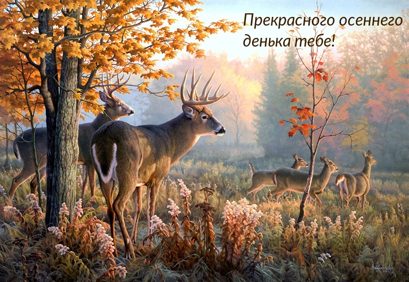 Прекрасного осеннего денька тебе!