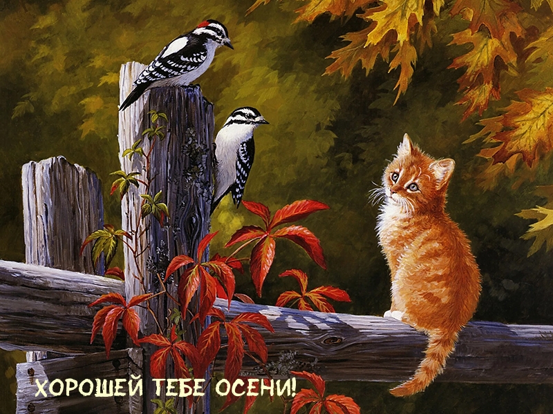 Хорошей тебе осени!