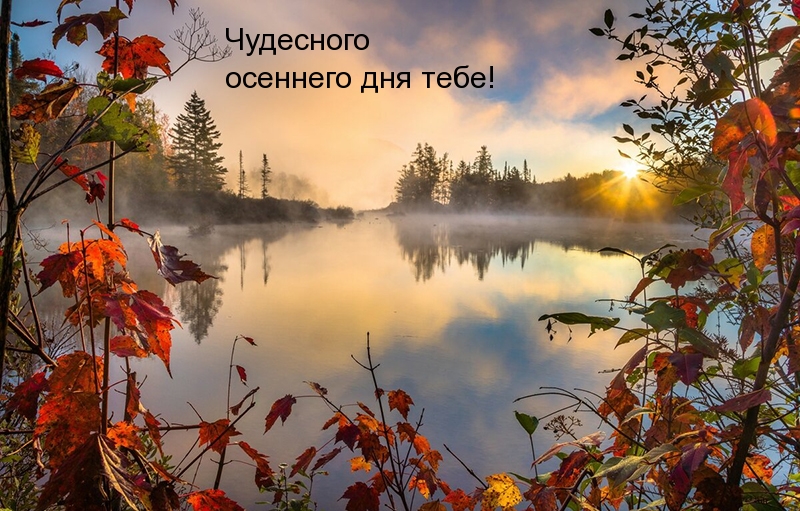 Чудесного осеннего дня тебе!