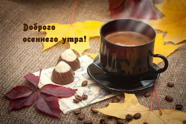 Доброго осеннего утра!