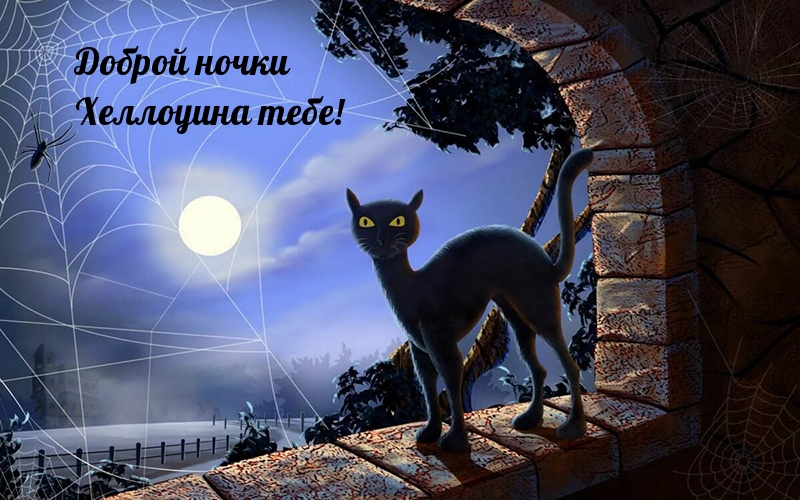 Доброй ночки Хеллоуина тебе!