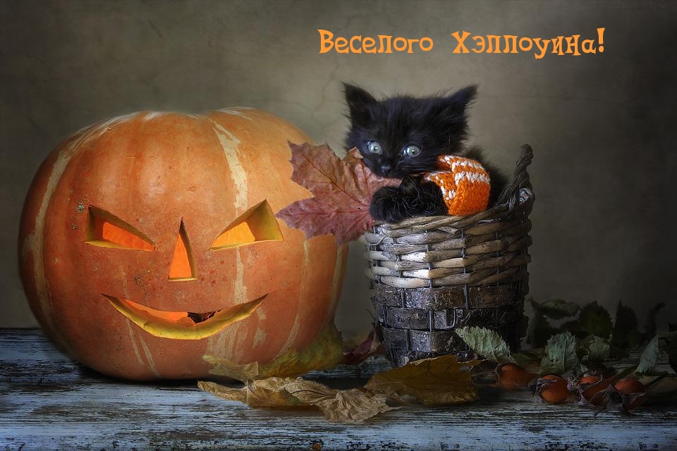 Веселого Хэллоуина!