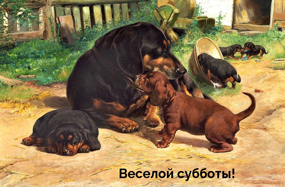 Веселой субботы!