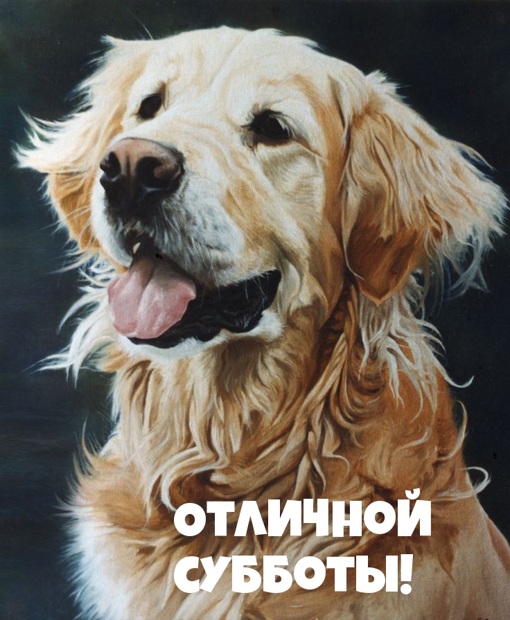 Отличной субботы!