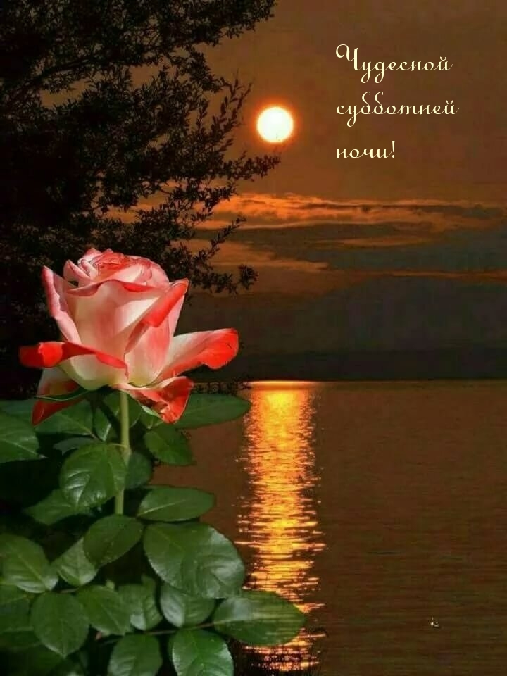 Чудесной субботней ночи!