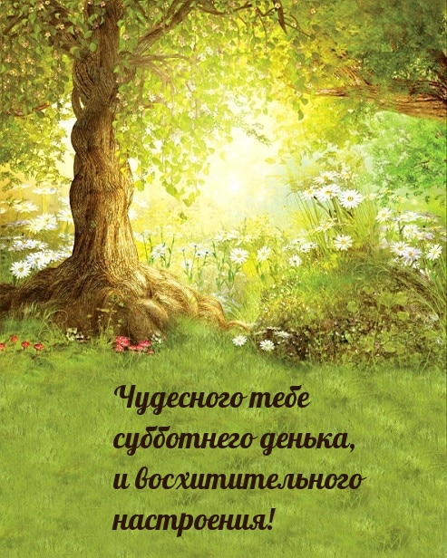Чудесного тебе субботнего денька