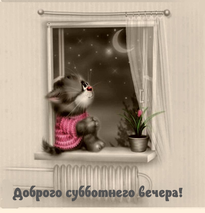 Доброго субботнего вечера!