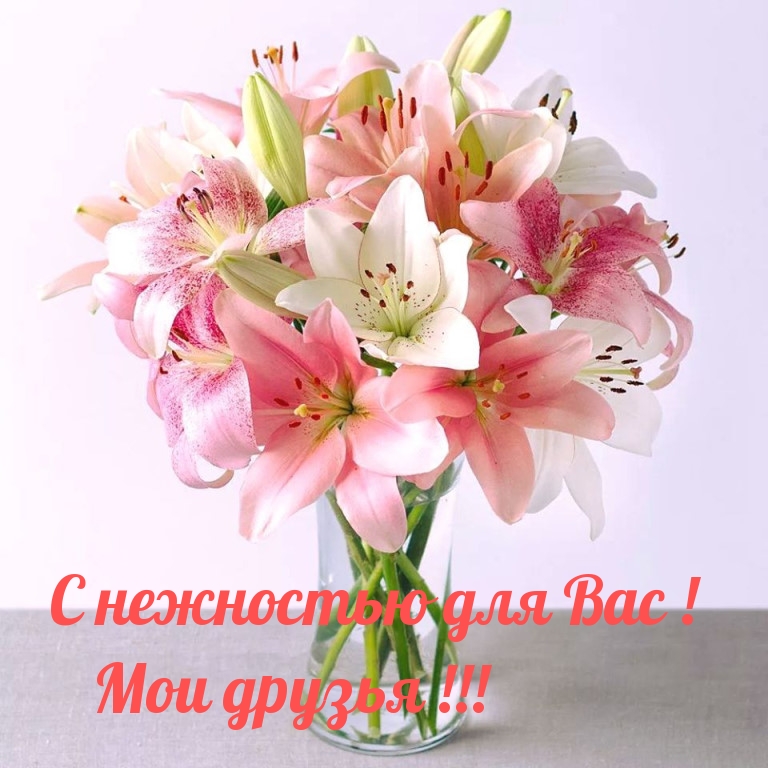 С нежностью для Вас! Мои друзья!