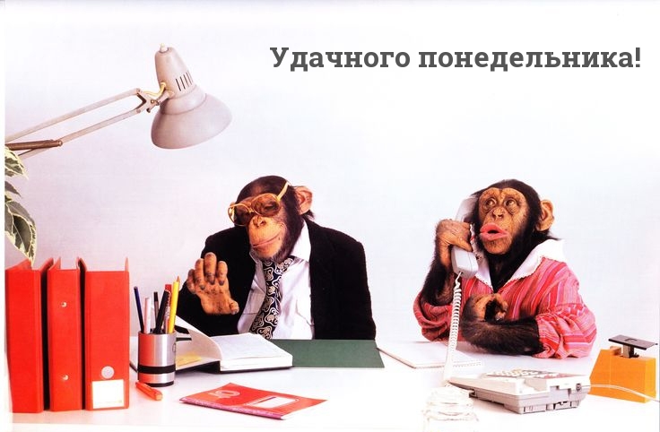 Удачного понедельника!