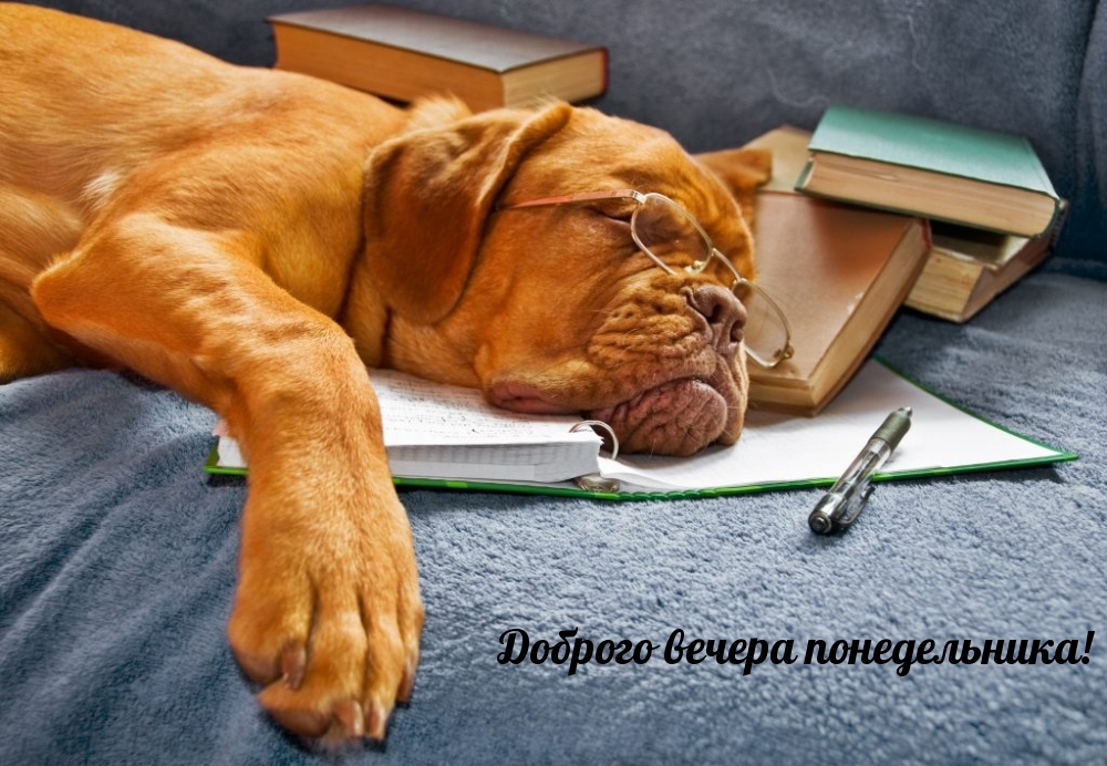 Доброго вечера понедельника!