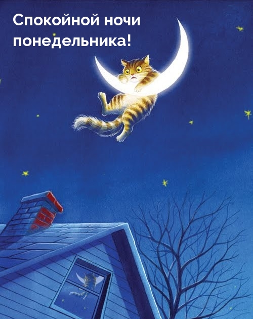 Спокойной ночи понедельника!