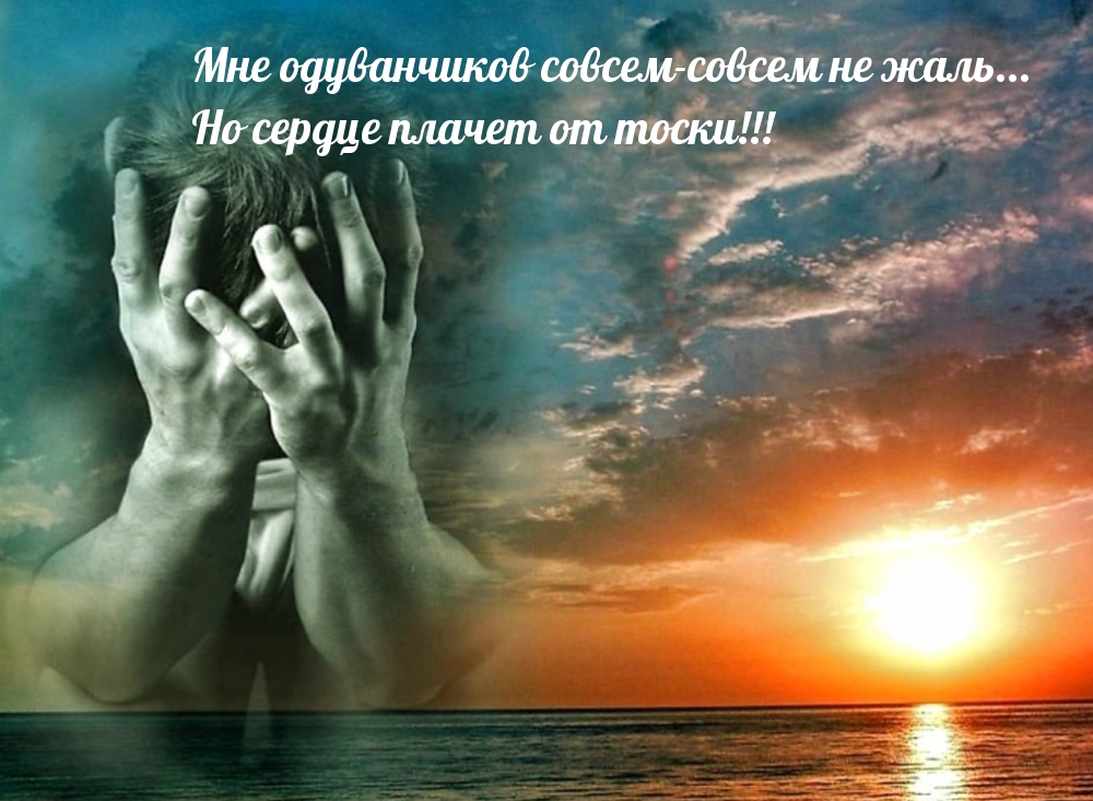 Но сердце плачет от тоски!