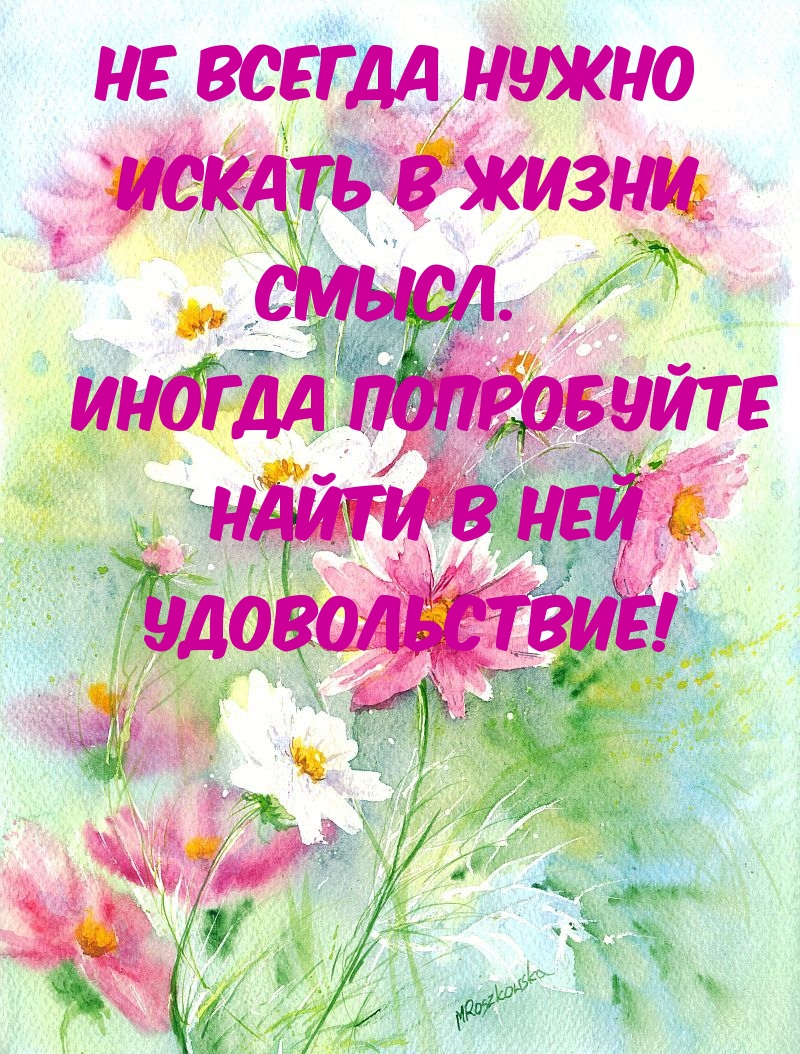 Не всегда нужно искать в жизни смысл