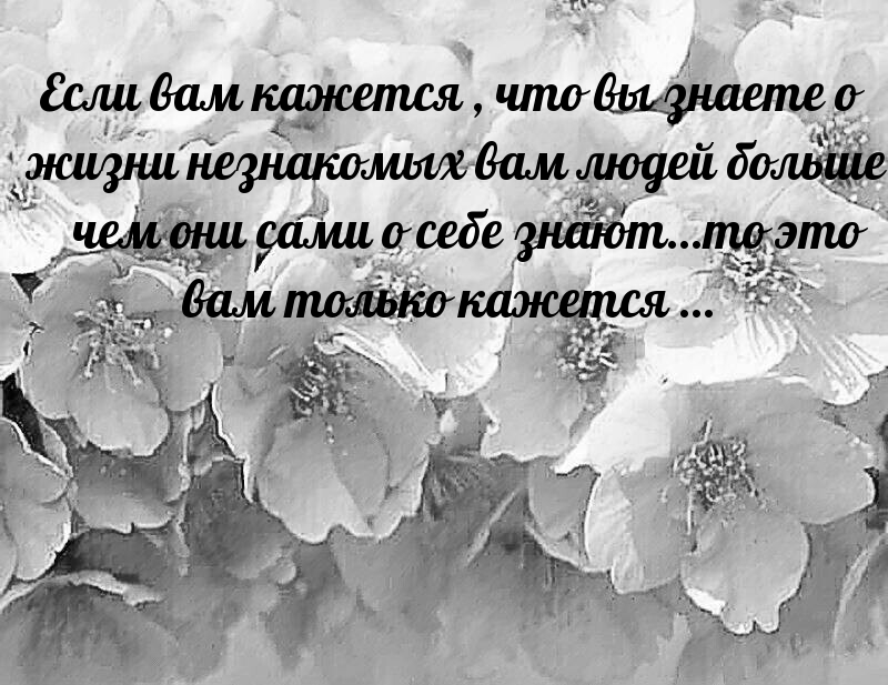 Если вам кажется , что вы знаете о жизни незнакомых