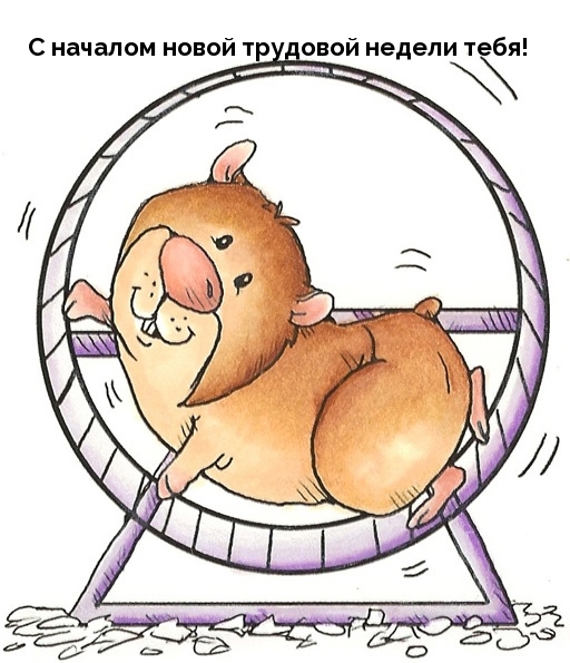 С началом новой трудовой недели тебя!