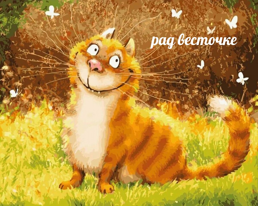 рад весточке
