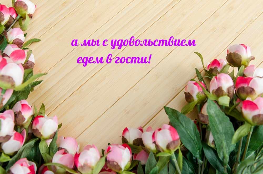 А мы с удовольствием едем в гости!