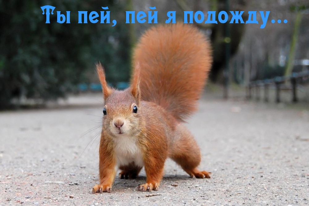 Ты пей, пей я подожду…