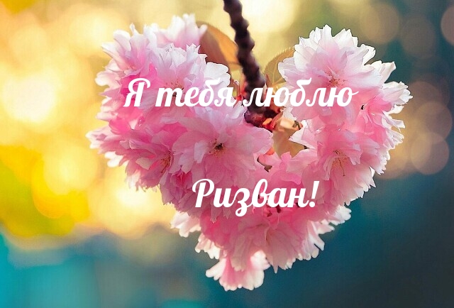 Я тебя люблю Ризван!