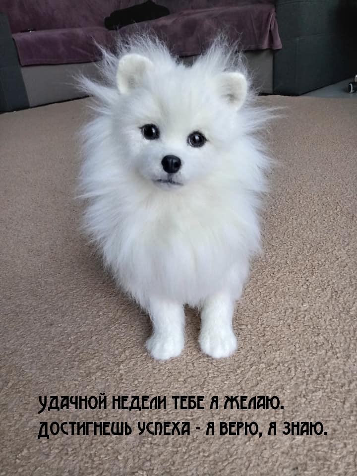 Удачной недели тебе я желаю! Достигнешь успеха!