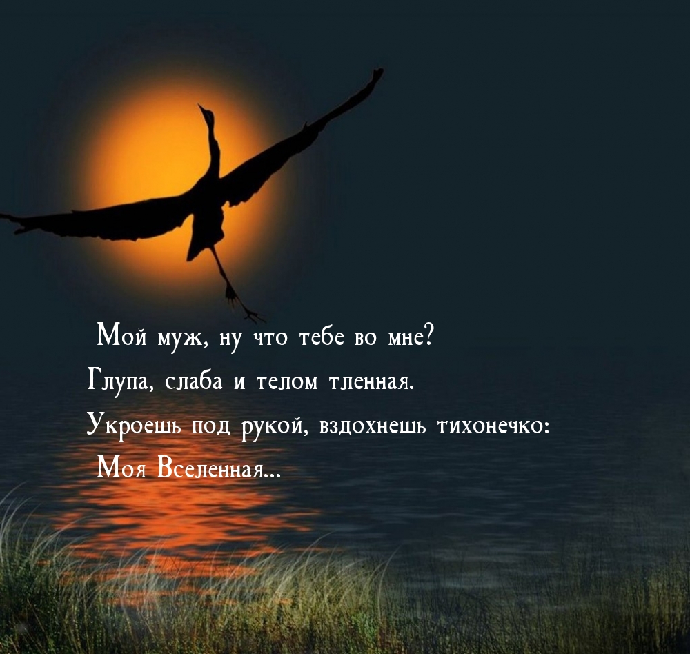Мой муж, ну что тебе во мне?