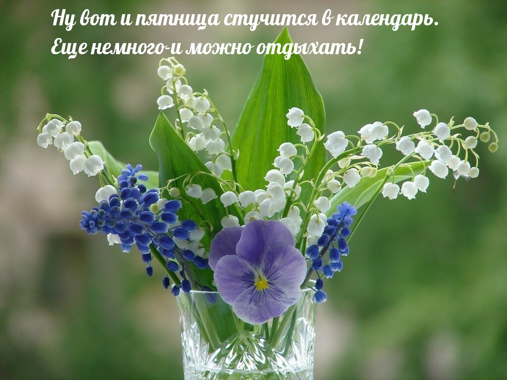 Картинки с надписями.  Ну вот и пятница стучится в календарь.