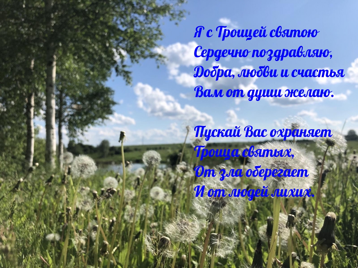 Я с Троицей святою cердечно поздравляю