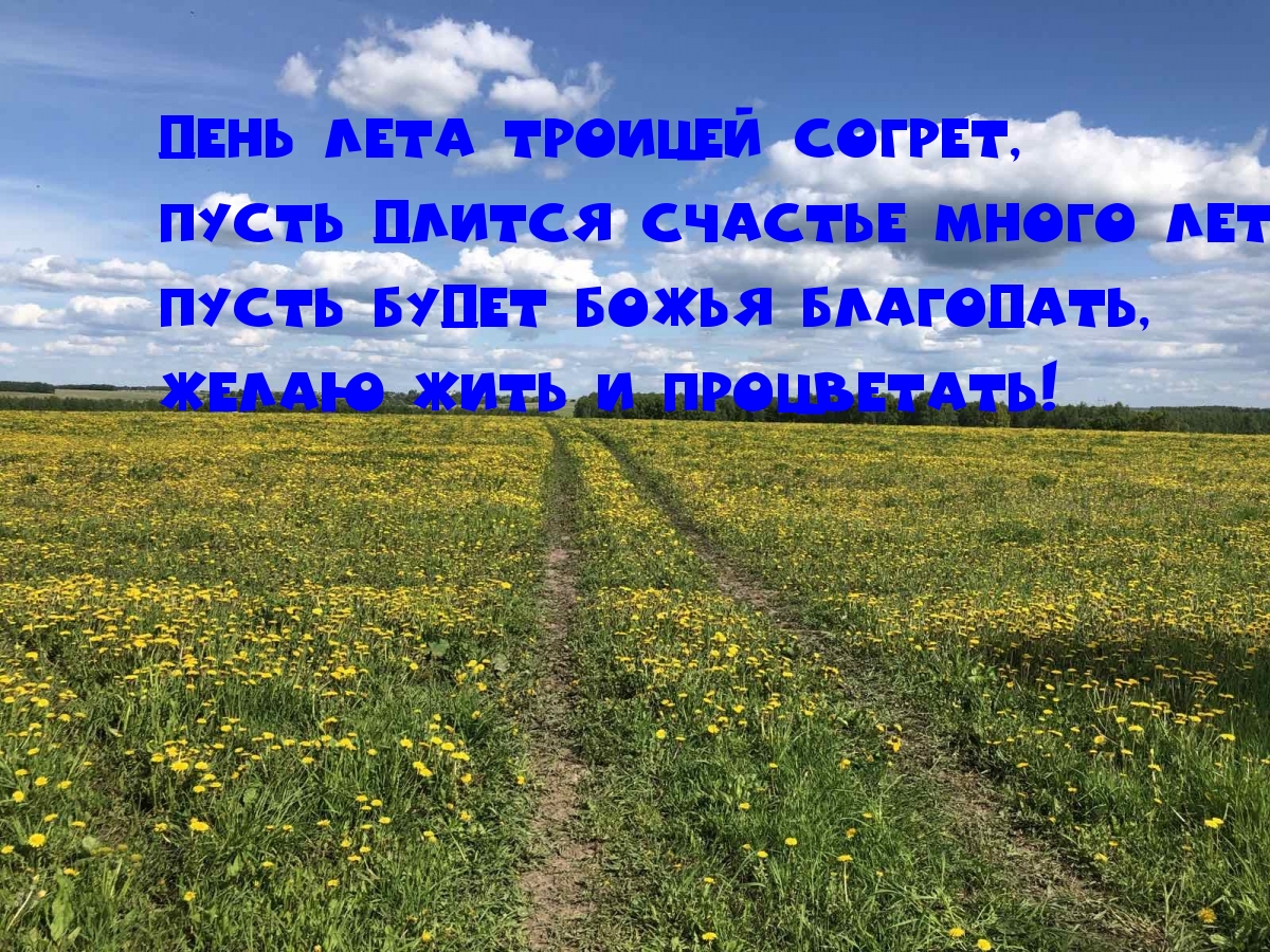 День лета Троицей согрет