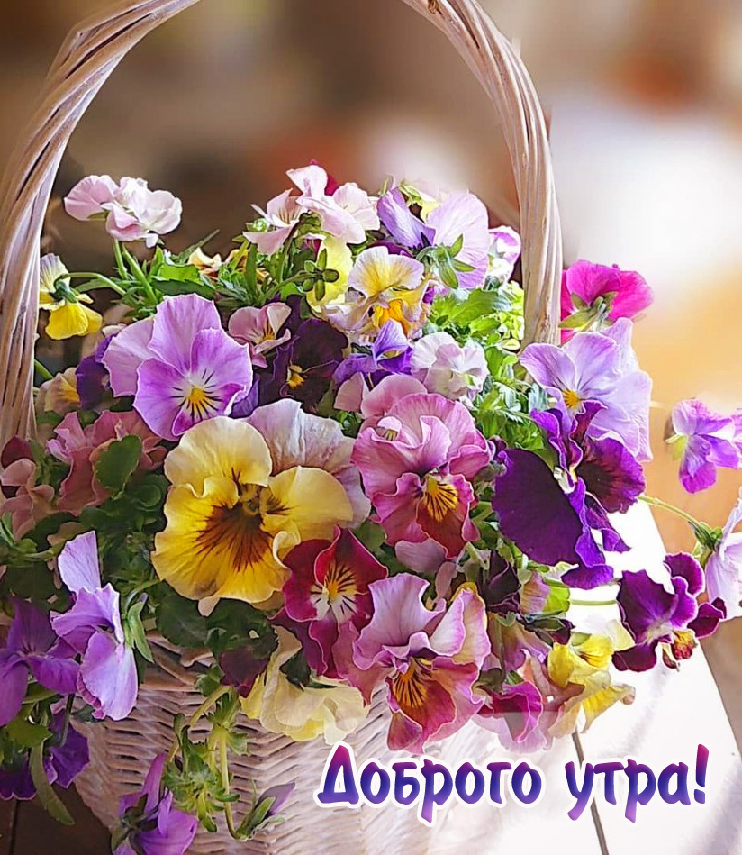 Доброго утра!