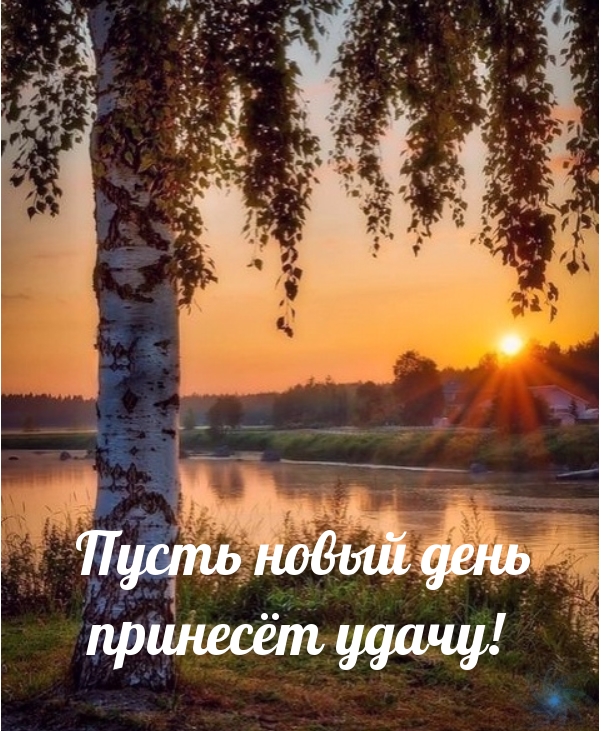 Пусть новый день принесёт удачу!