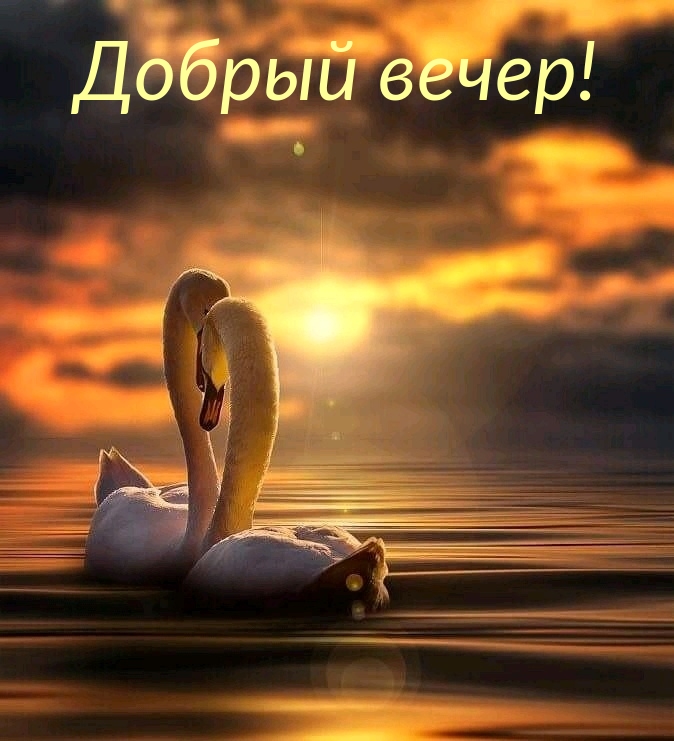 Добрый вечер!