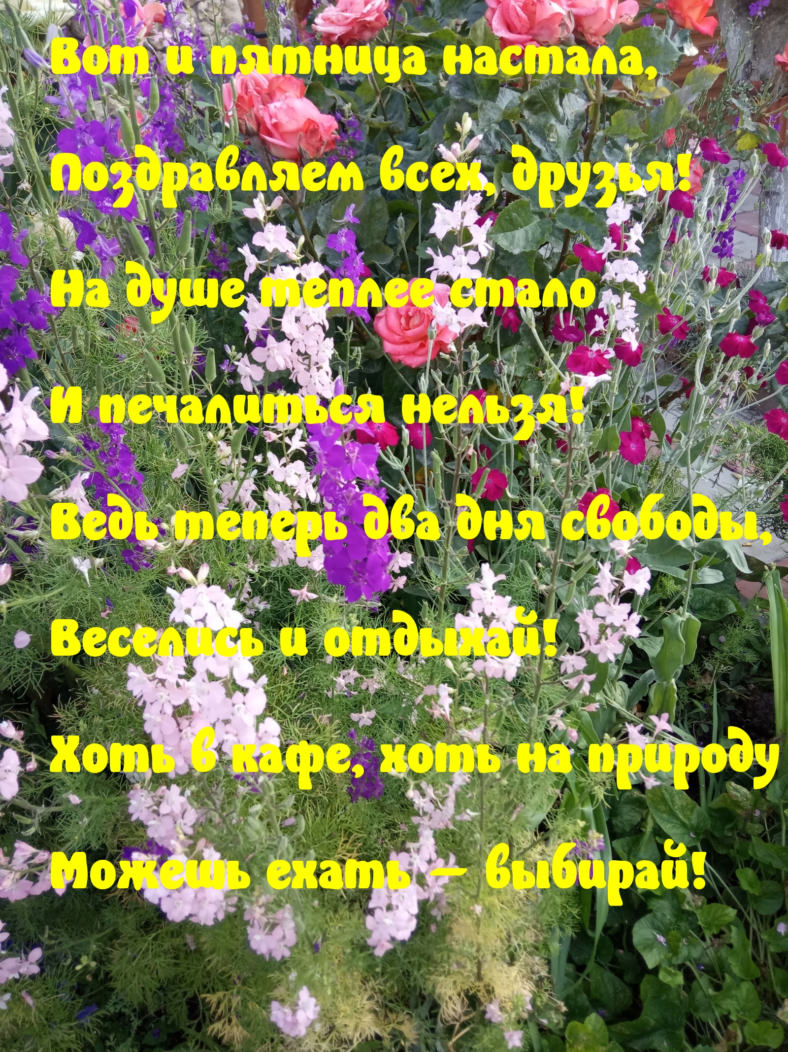 Вот и пятница настала! Поздравляем всех!
