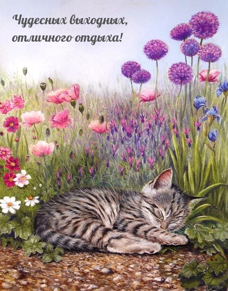 Чудесных выходных, отличного отдыха!