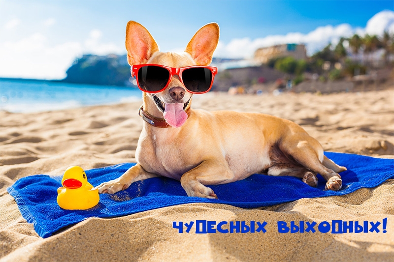 Чудесных выходных!