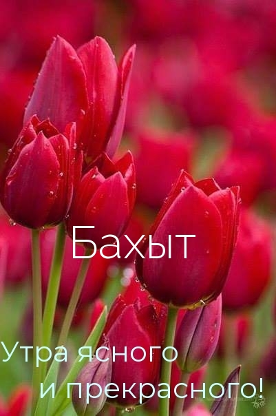 Картинки с надписями.  Бахыт, утра ясного и прекрасного!.