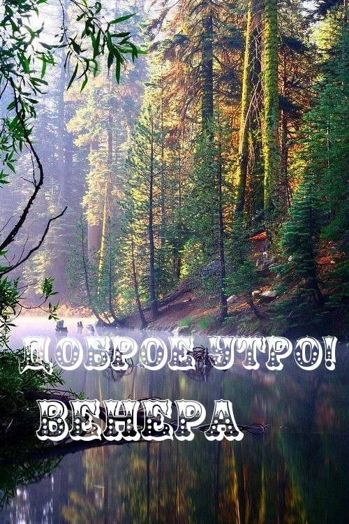 Венера, доброе утро!