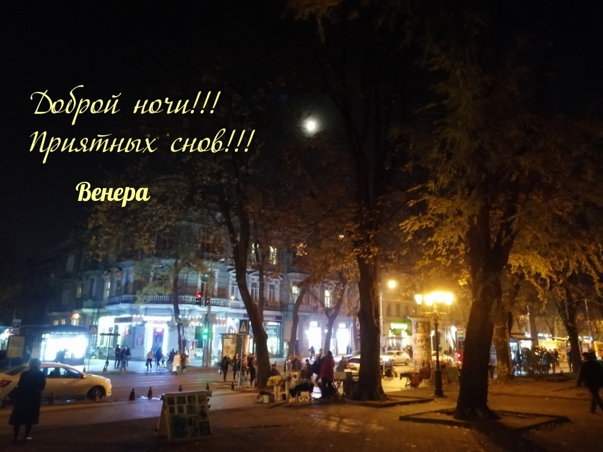 Венера, приятных снов!