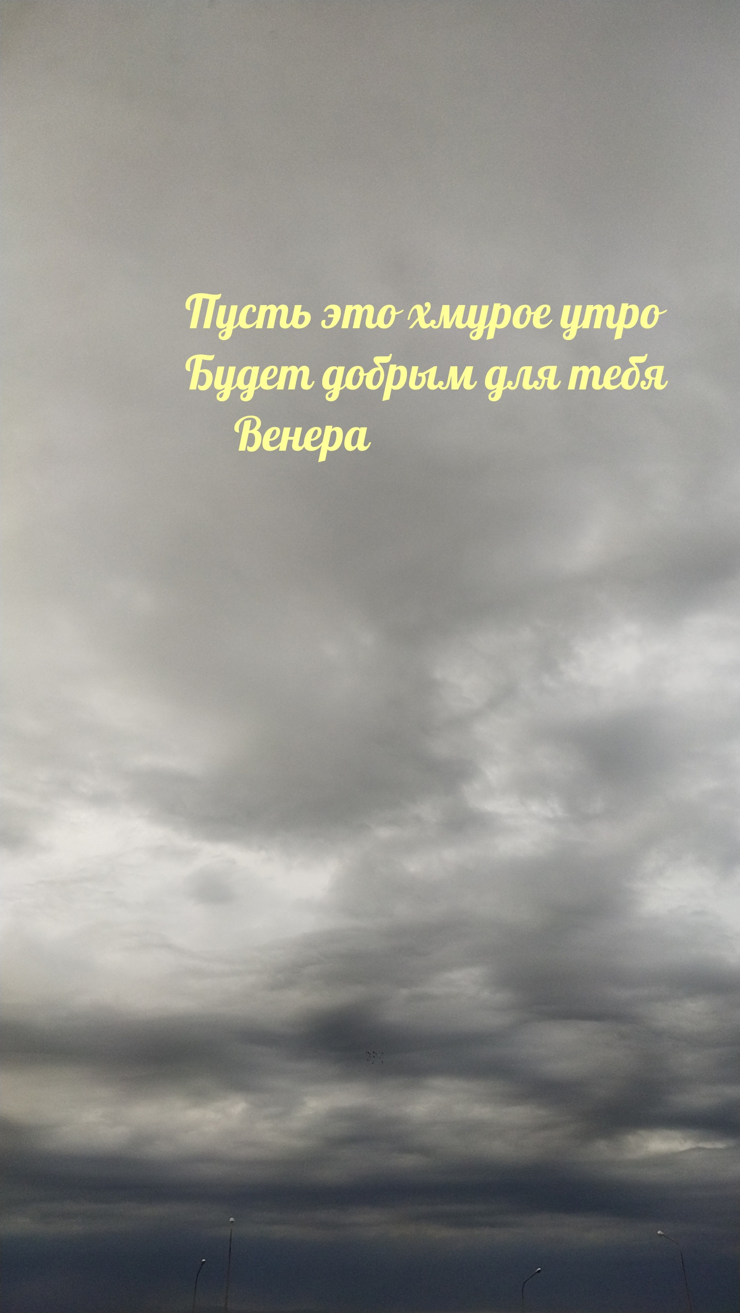 Хмурое утро пусть будет добрым! Венера