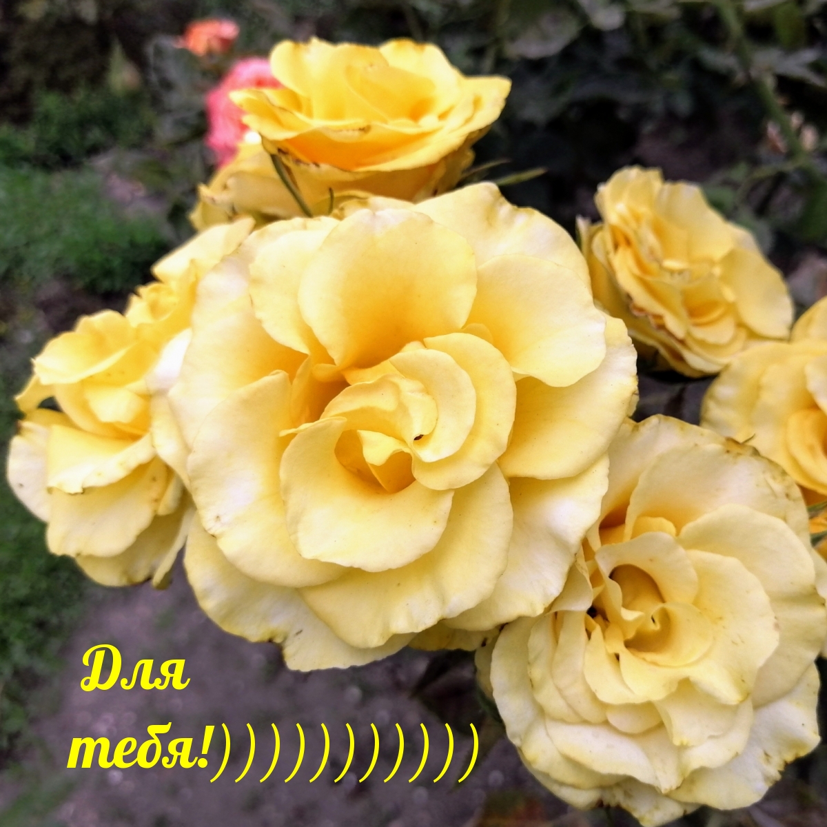 Для тебя!)))))))))))